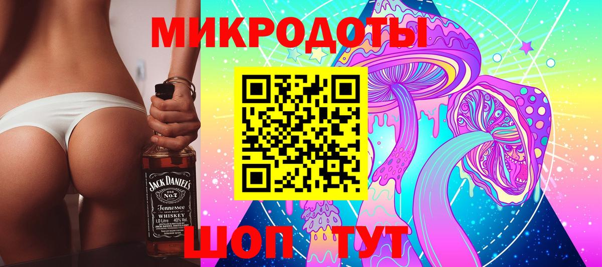 купить наркотики сайты  Галлюциногенные грибы MAGIC MUSHROOMS  Галлюциногенные грибы Cubensis  Вход с VPN  Ставрополь 