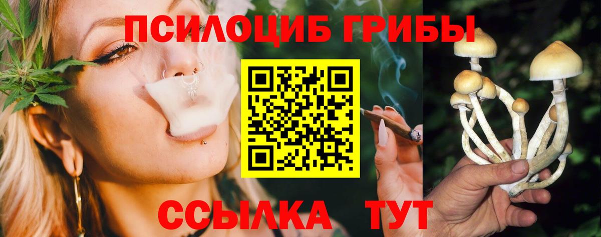 Псилоцибиновые грибы GOLDEN TEACHER Ставрополь